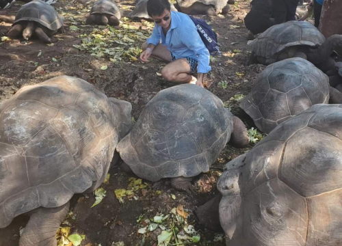 Prison Island (Changuu Island) and Nyange Sandbank