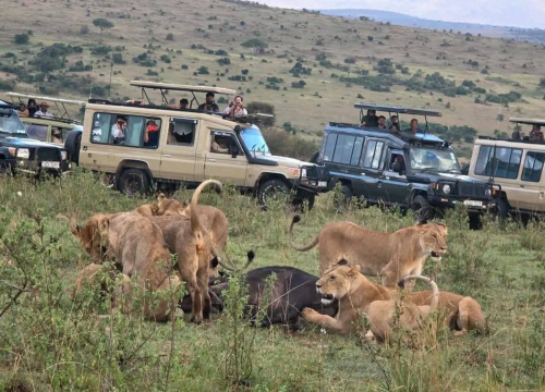 2 Days Tarangire National Park and Ngorongoro Park.