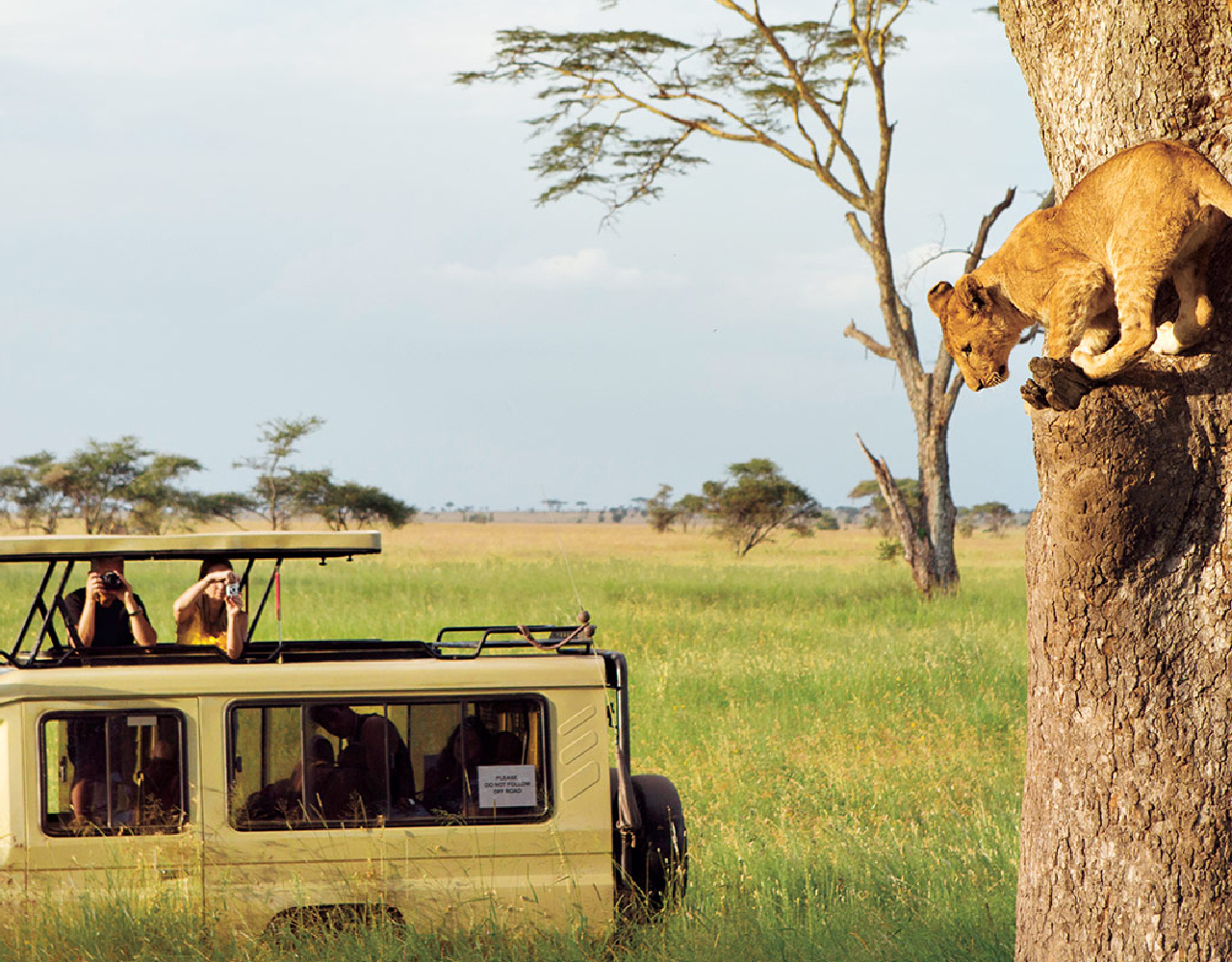 3 Days Serengeti National Park And Ngorongoro