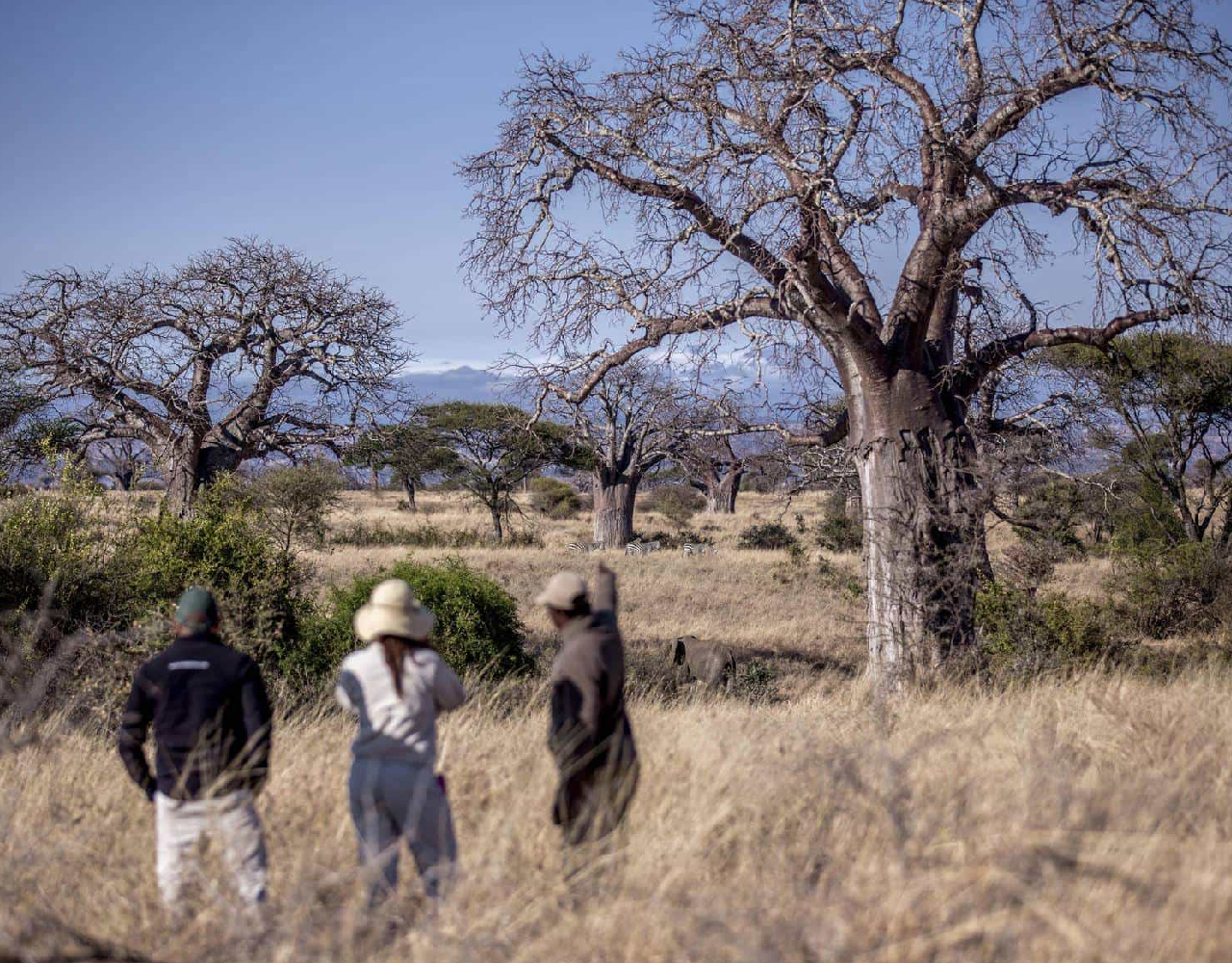 4 Days Serengeti, Ngorongoro Crater and Tarangire Park